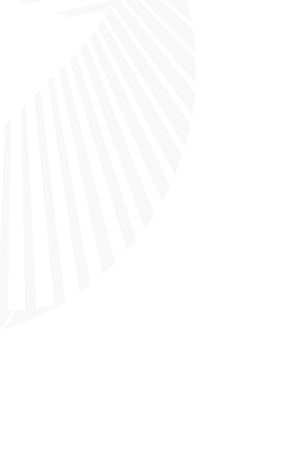 Background graphic
